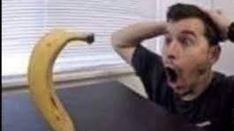 Colorfield (Multicorn -6) (loud sounds)