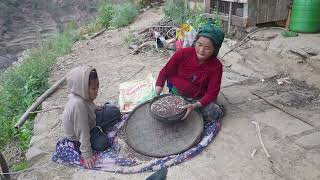 Harvesting technology of crops in village || Nepali village