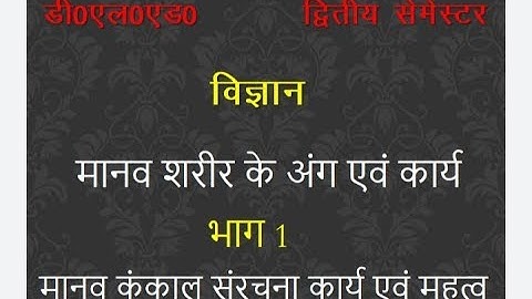 मानव शरीर के अंग एवं कार्य भाग 1 मानव कंकाल संरचना कार्य एवं महत्व