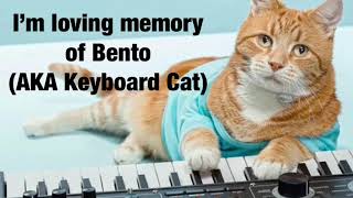 Keyboard Cat | Remix [In memory of him]