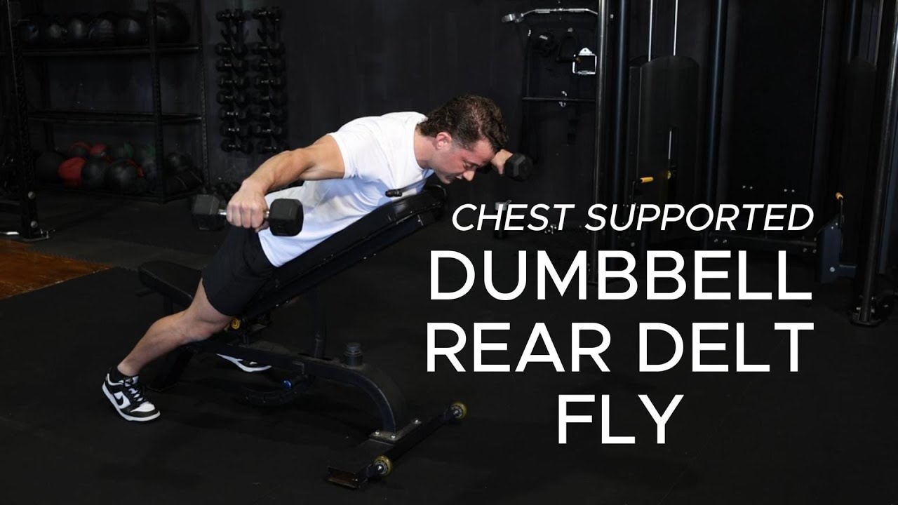 CHEST SUPPORTED DB REAR DELT FLY - YouTube