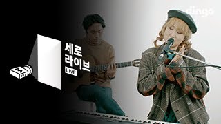 [세로라이브] 선우정아 - 고양이