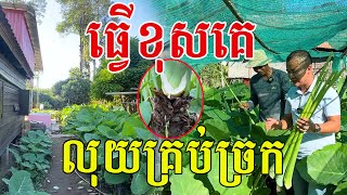 ធ្វេីខុសគេ​ លុយគ្រប់ច្រក​ មិនទុកទំនេរចោលសោះ