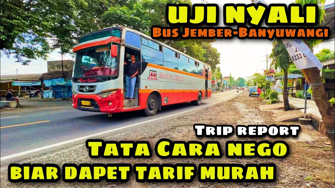 NANTANG NAIK BUS KUSUT 😱 Tata Cara Nego Tarif Murah ke Bus TAPAL KUDA