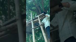 TreeHouse Repairing Treehouse Making #treehouse #making #minivlog #shorts