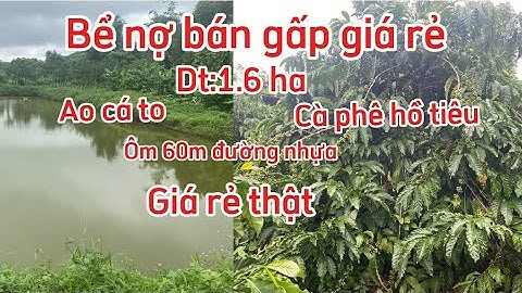 Bán lô đất phun cà phê hồ tiêu ao cá to dt;1,6ha nguồn thu ổn định có nhà ở tạm đường xá thuận tiện