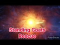 Baby Goat Party HD 720p