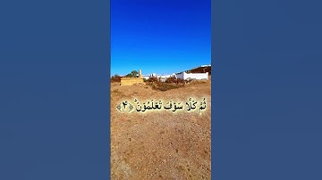 سورة التكاثر