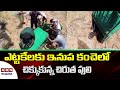 Telangana: Two forest staff injured in leopard attack while trying to catch her