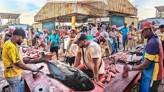 WoW AMAZING ITERESTING BEAUTIFUL STREET FISH MARKETS MOST SATISFYING FISH CUTTING SHOW