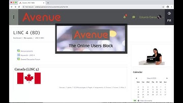 Online Users Block