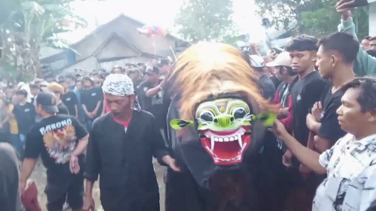 Macanan seni jaranan Sidodadi Baluk live panggung