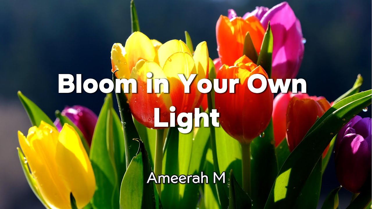 Bloom in Your Own Light - Ameerah M | Official Lyrics Video