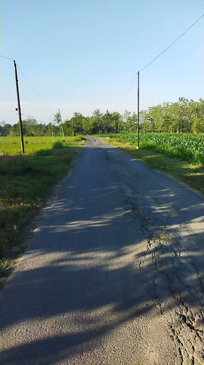 Story WA Suasana pedesaan di pagi hari #Short