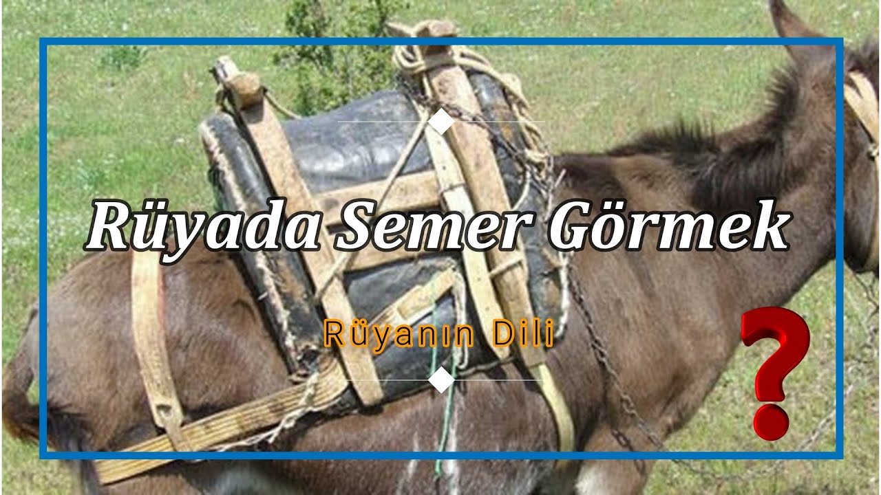 RÜYADA SEMER GÖRMEK (rüya tabiri) - YouTube