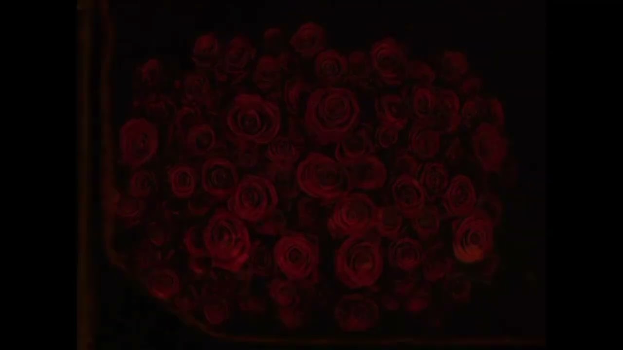 CNOTEBENJAY - ROSES