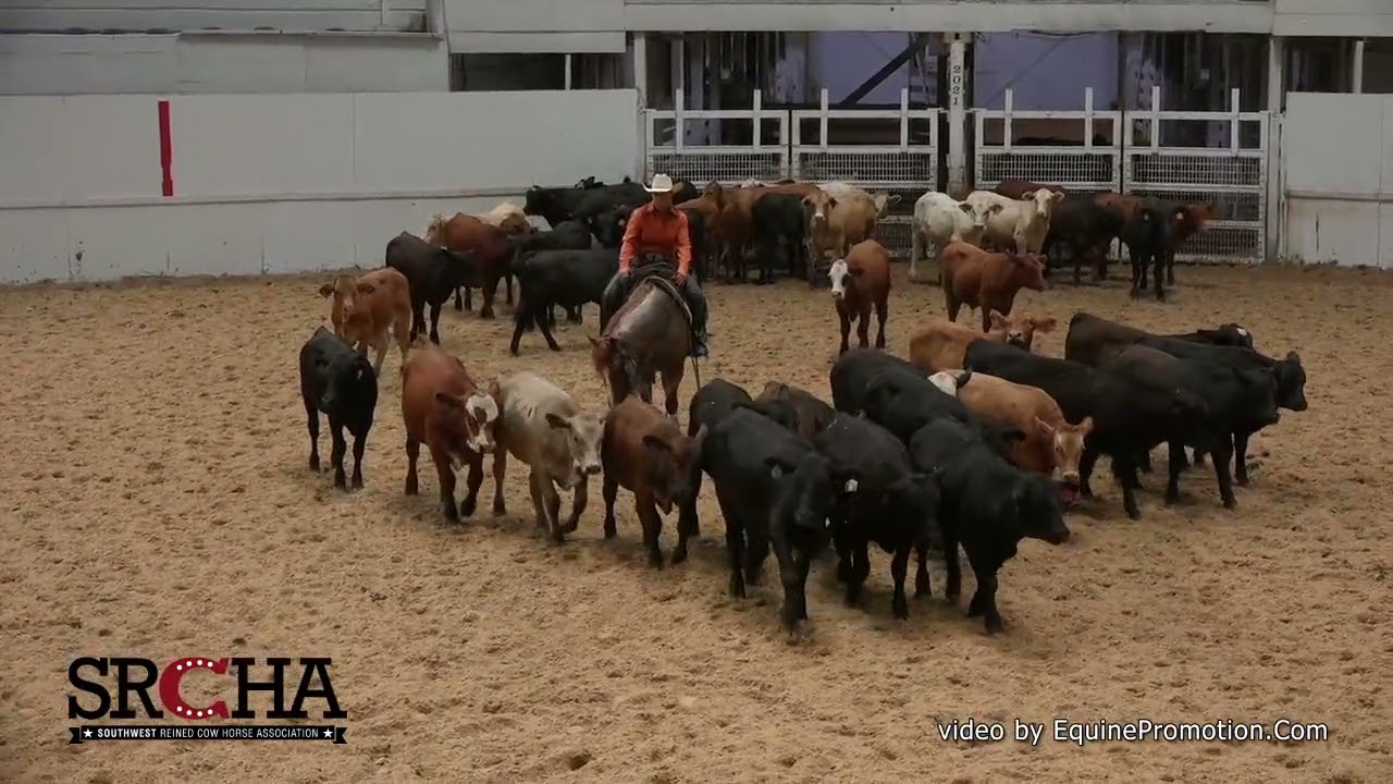 SJR Sumkindarockstar shown by Debbie Crafton - 2021 SRCHA Pre Futurity (NP Futurity, Herd)