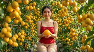 Timelapse Harvest – Girl Collects Langsat &amp; Sells Farm Products at Market