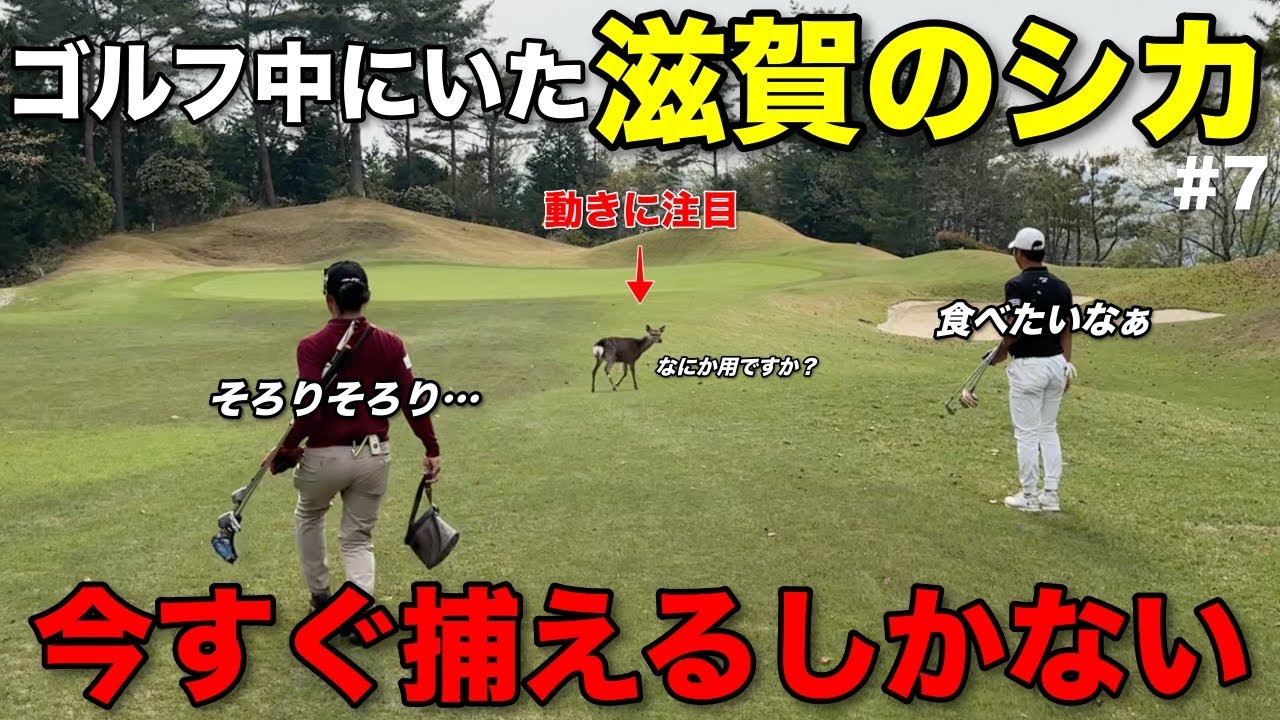 ゴルフ馬…鹿です 急に現れた生物とだるまさんが転んだ⁉︎本気で捕まえに行きます。【#7