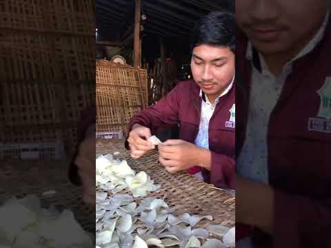 Cara Membuat Keripik Singkong Supaya Empuk Dan Renyah
