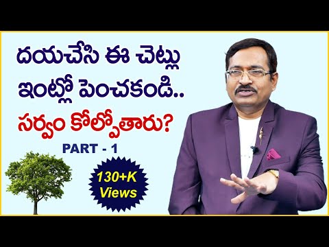 Vastu for Trees in Home | Vastu Shastra | ఈ చెట్లు ఇంట్లో పెంచితే సర్వం కోల్పోతారు | M QUBE