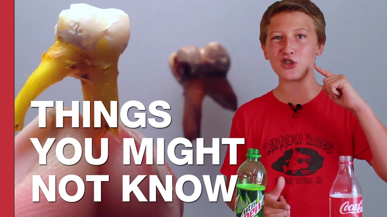 Teen Science Wiz Reveals How Mountain Dew Dissolves Your Teeth Quicker Than Coca Cola Daily Mail Online