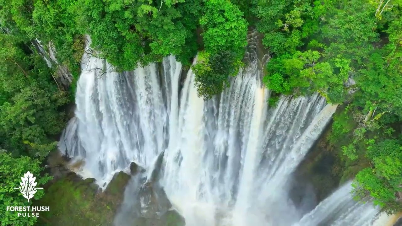 Ver Restore Your Nervous System🌿Relaxing Music for Anxiety Relief & Stop Overthinking | Enjoy Paradise no YouTube Ver Restore Your Nervous System🌿Relaxing Music for Anxiety Relief & Stop Overthinking | Enjoy Paradise no YouTube
