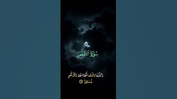القرآن الكريم سورة القمر #اكسبلور #المصحف #دويتو #الرحمن #لايك #القزابري #duet #الطحان #راحة_نفسية