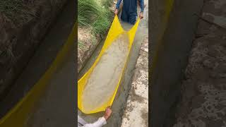 fishing #fish caching fish Epic My video 20 m views on YouTube channel #freeclip 🐬🎣🐊🐬 fishing #fish caching fish Epic My video 20 m views on YouTube channel #freeclip 🐬🎣🐊🐬