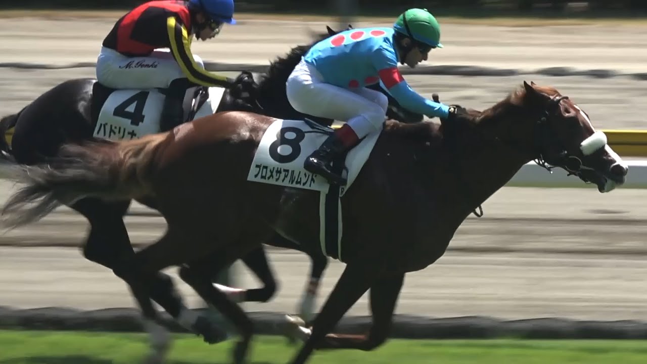 アーモンドアイ セット 現地】2025 メイクデビュー 新馬戦 プロメサアルムンド C