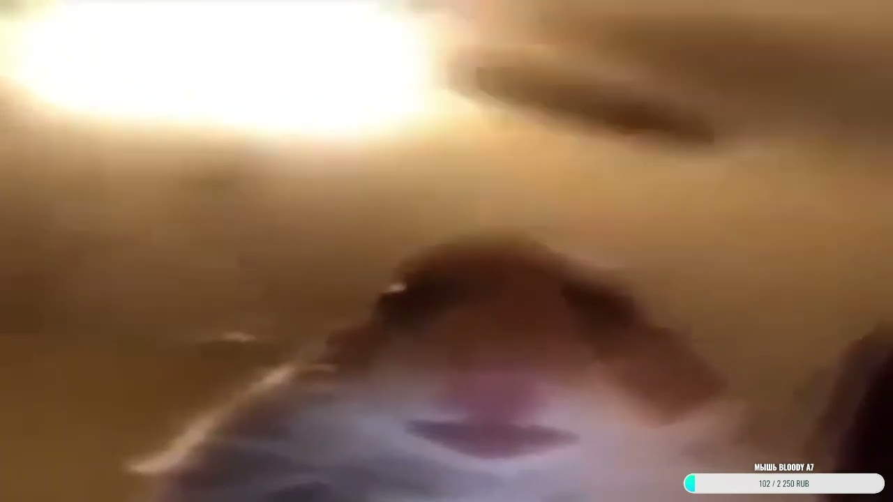 Хомяк с вентилятором