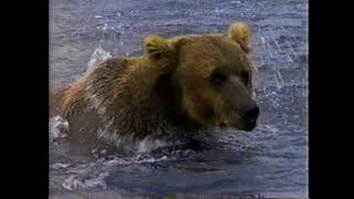 1995 Coast soap Coming Out Of Hibernation TV commercial