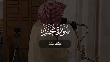 سورة محمد كاملة | د. أحمد بن صابر الغامدي | مسجد قباء | رمضان ١٤٤٦ هـ