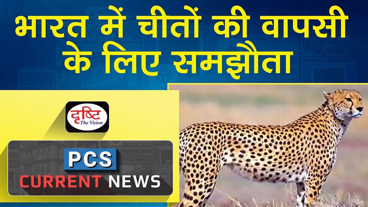 Cheetah Reintroduction in India– PCS Current News I Drishti PCS - YouTube