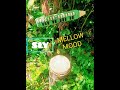 Mellow Mood Riddim Melodica mp3