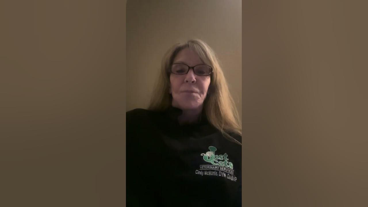 Fear Free And Feline Friendly Handling YouTube fear-free-and-feline-friendly-handling-youtube