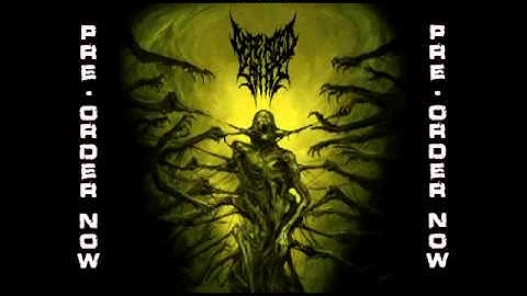 DEFEATED SANITY - Naraka (New Track) (2013)