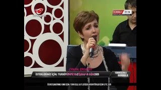 Dağların ardında guzum /(Nerde Benim Kuzum Dağlar) -Canan Başkaya Resimi