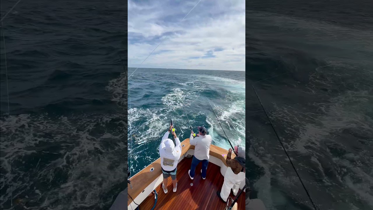 2025 Pirate's Cove Sailfish Classic Recap