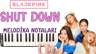 Blackpink - SHUT DOWN Melodika Notaları - Ses Veriyorum Resimi