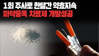 1회 주사로 한달간 약효지속, 마약중독 치료제 개발성