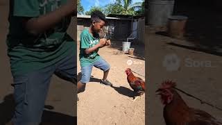 Misye A Goumen A Poul La