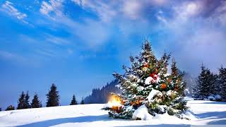 Tony Bennett- O&#39; Christmas Tree
