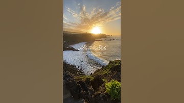 ما تيسر من سورة فاطر | سعد الغامدي 🌲💚