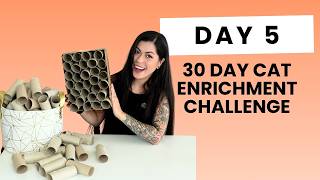 🗓️День 5 из 30: челлендж по обогащению среды для кошек | DIY головоломка для кошек screenshot 2