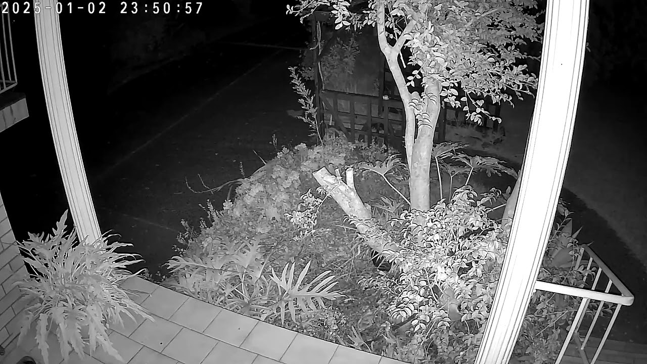 Microbat front balcony