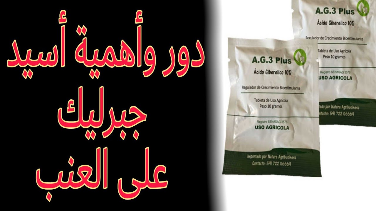 دور وأهمية أسيد جبرليك على العنب