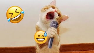 🤣🐈 So Funny! Funniest Cats and Dogs 2024 😘🐶 Funny And Cute Animal Videos 2024 # 7