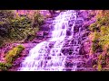 Deep Energy Healing | 528Hz Miracle Music | Enhance Self Love | Stress Relief Healing Meditation