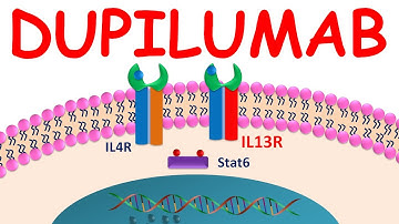 Dupixent (Dupilumab) injection for Eczema : Everything You should Know